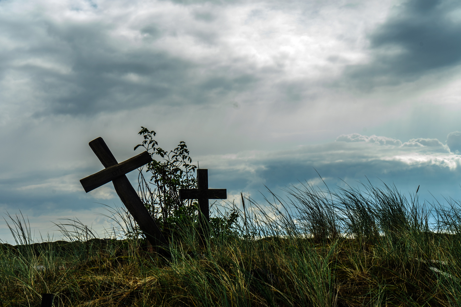 Tierfriedhof Norderney