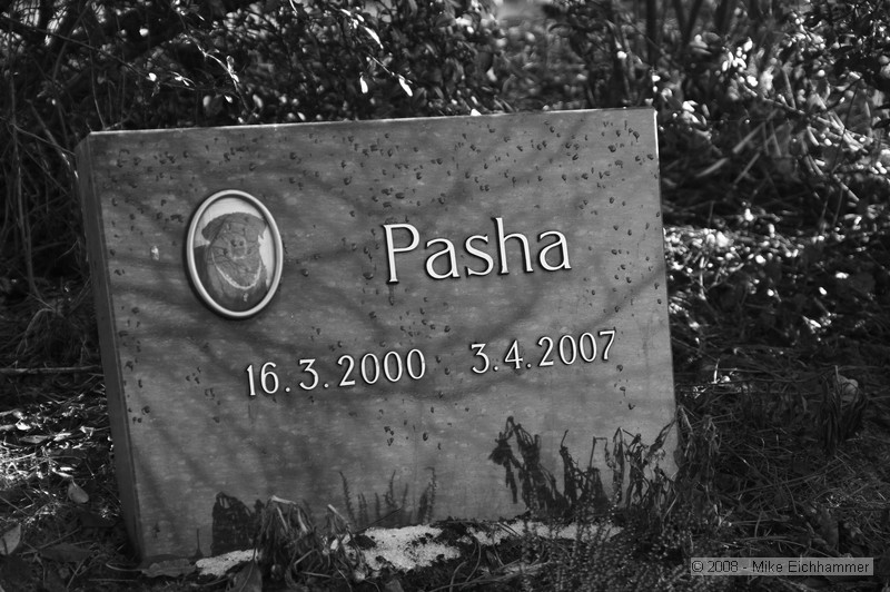 Tierfriedhof Nürnberg - Pasha