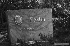 Tierfriedhof Nürnberg - Pasha