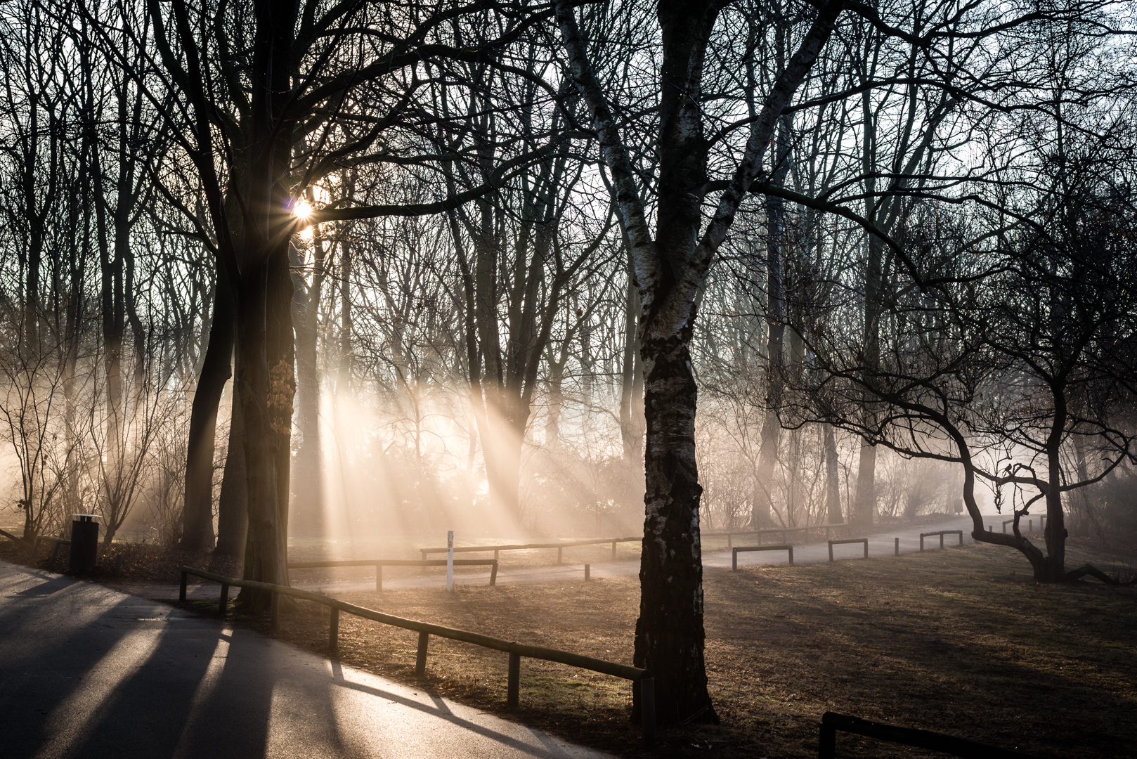 Tiergarten