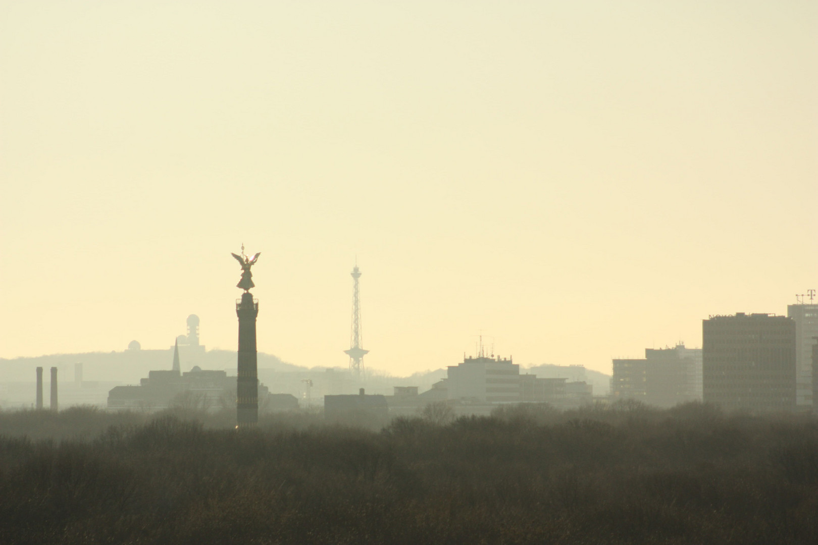 tiergarten