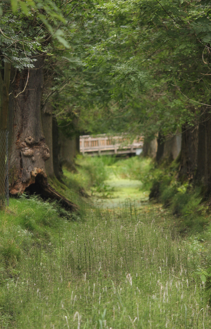 Tiergarten