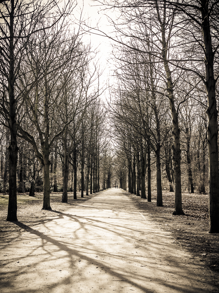 Tiergarten - Allee