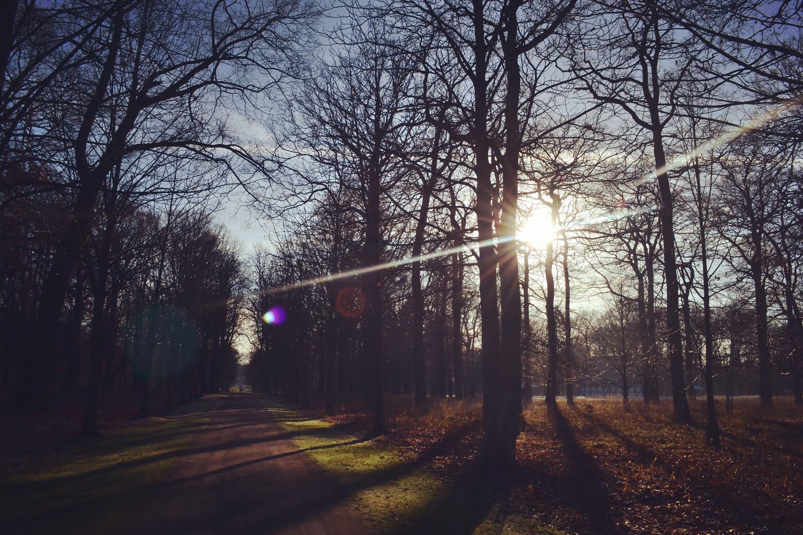 Tiergarten