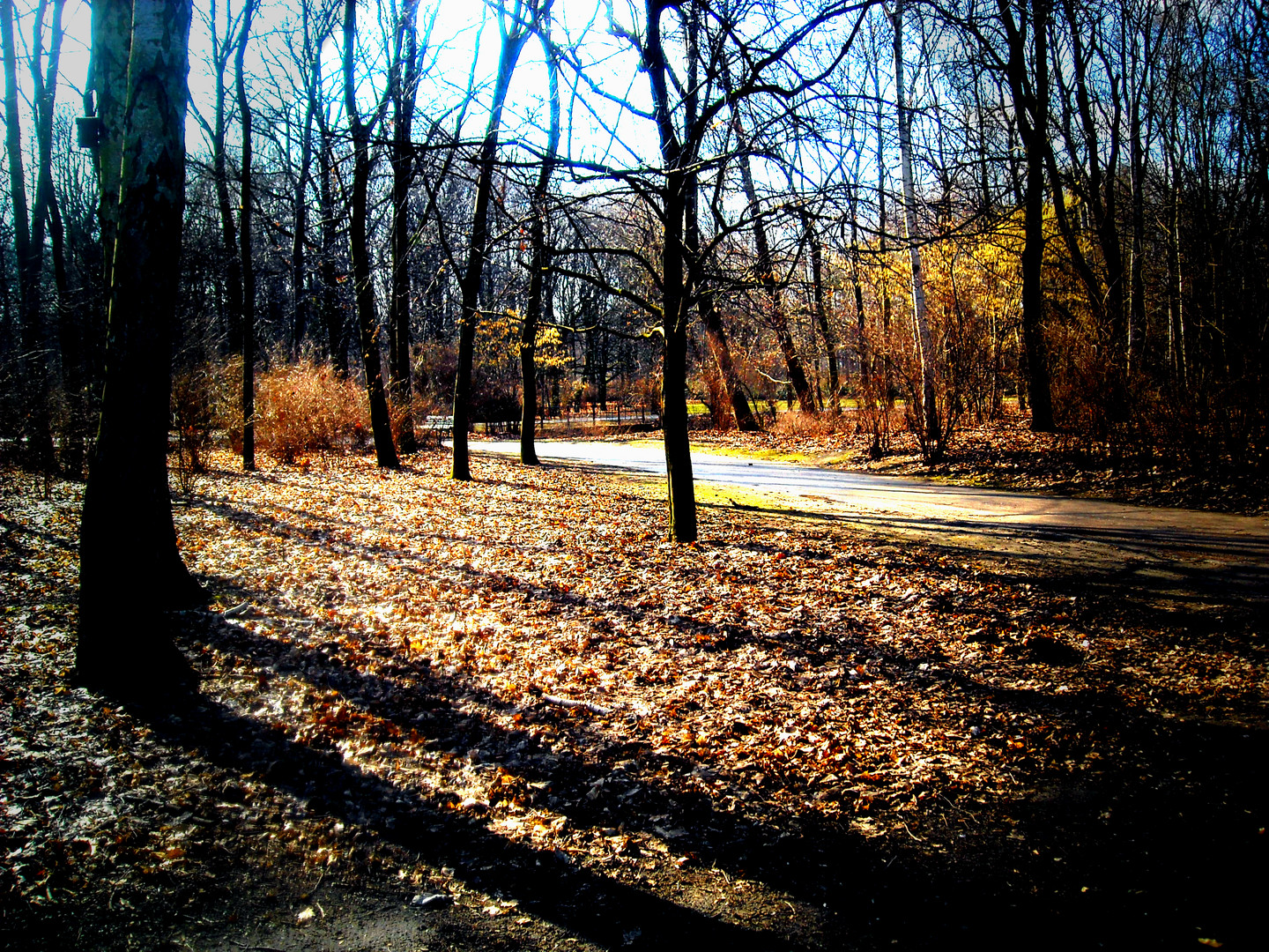 Tiergarten