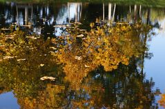 Tiergarten Berlin