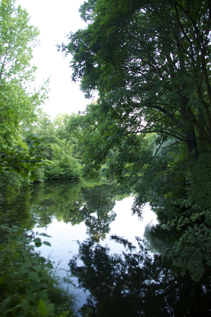 Tiergarten Berlin