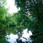 Tiergarten Berlin