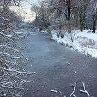 Tiergarten Berlin