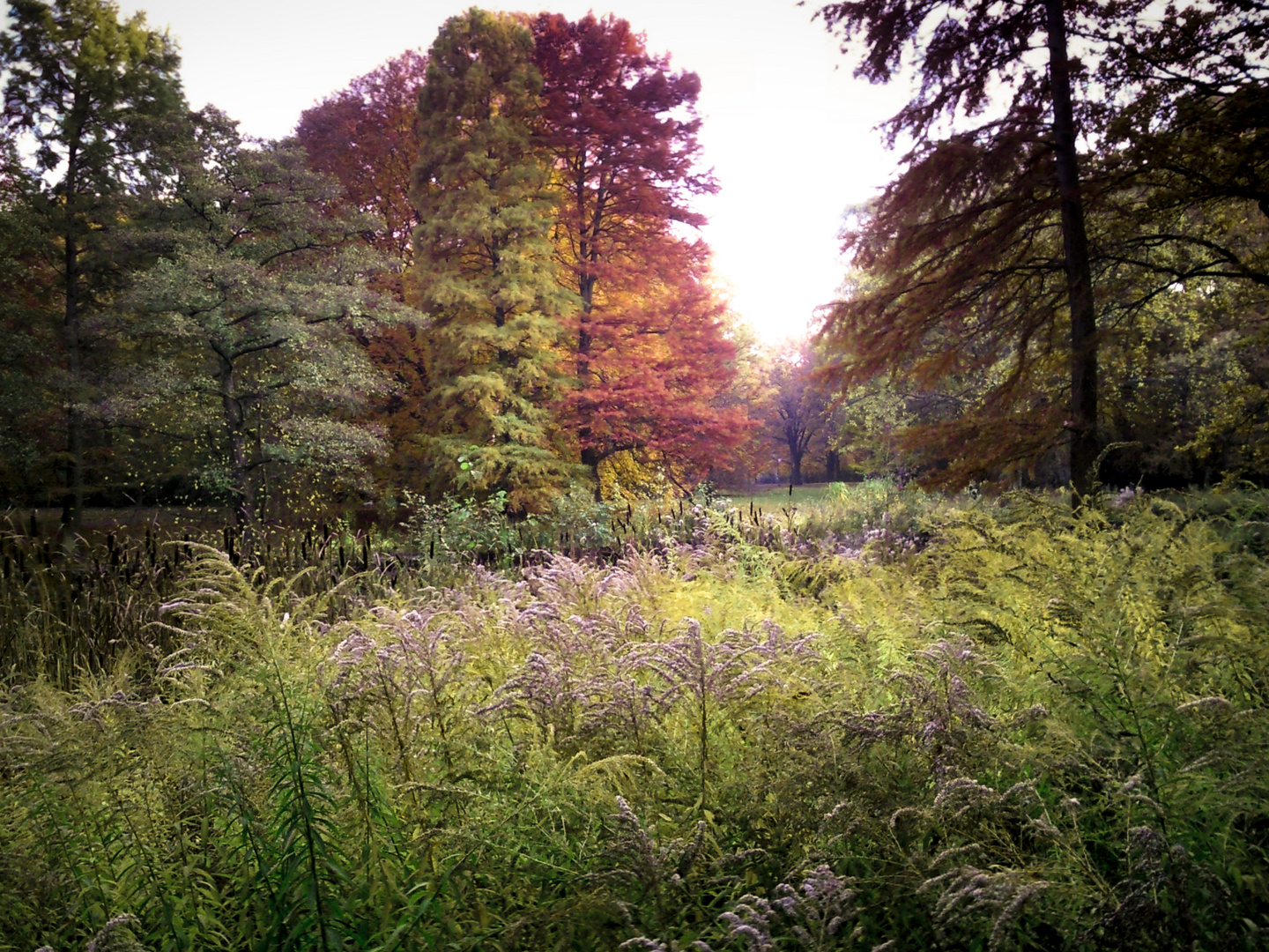 Tiergarten Berlin