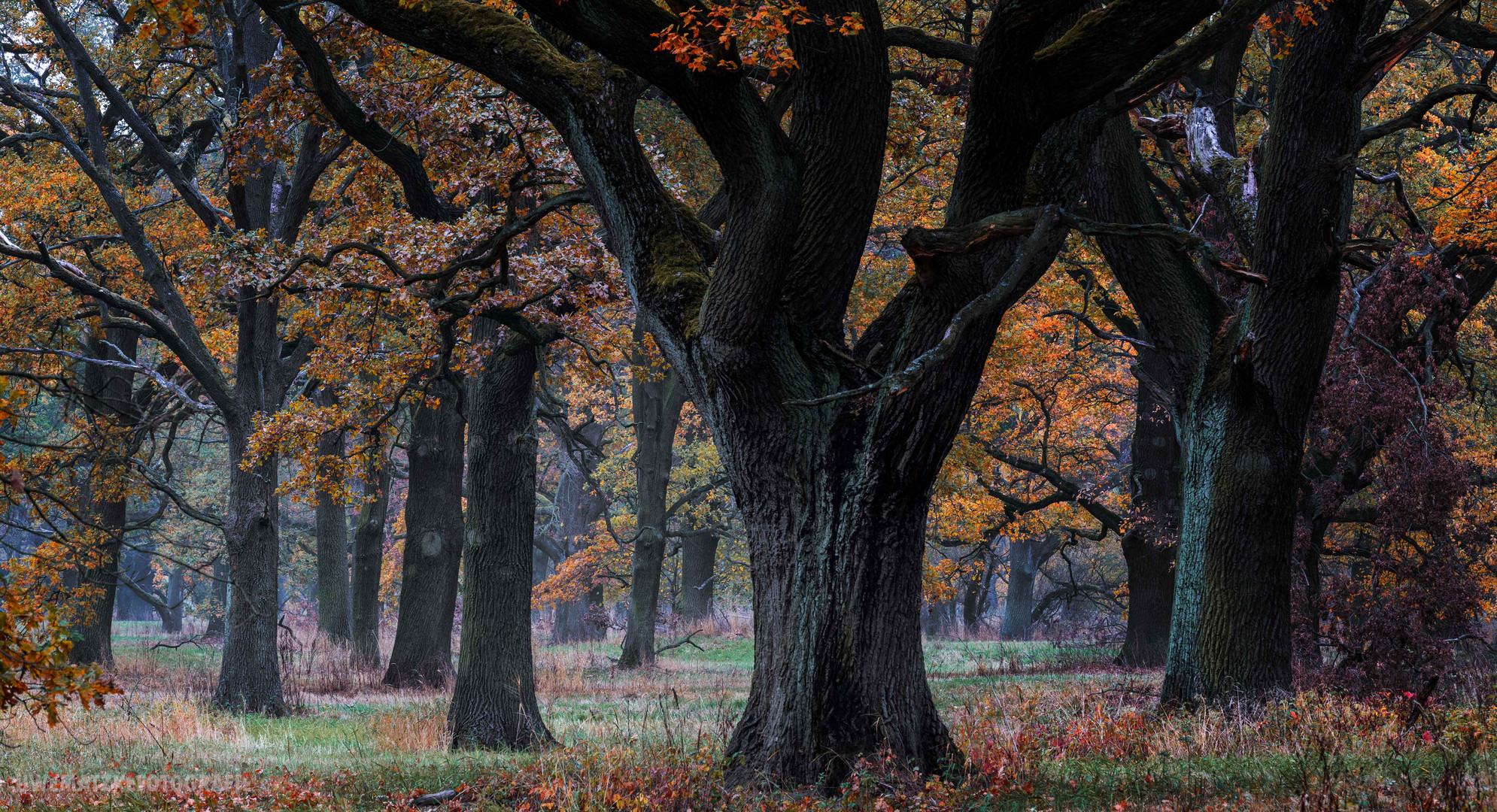 Tiergarten Dessau