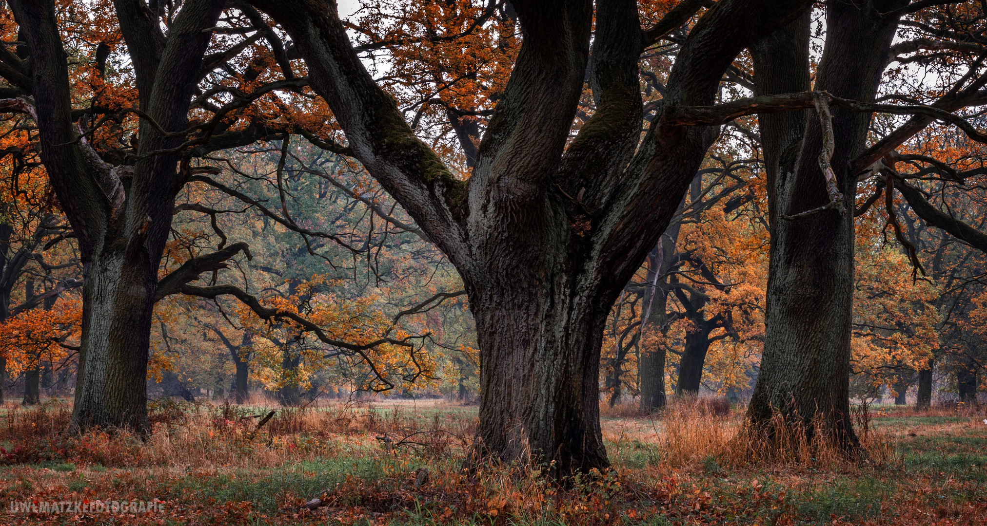 Tiergarten Dessau