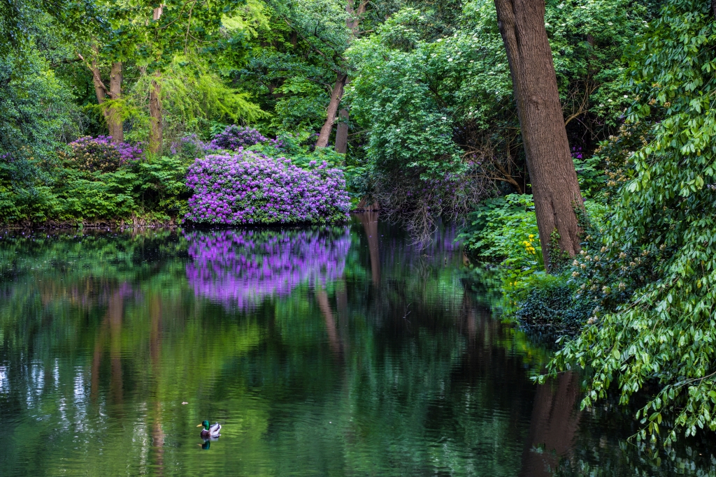 Tiergarten