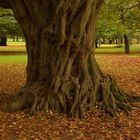 Tiergarten Hannover