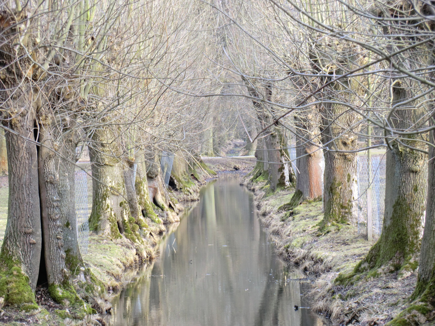 Tiergarten Hannover