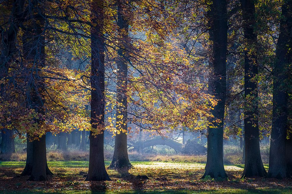 Tiergarten Hannover