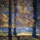 Tiergarten Hannover