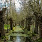 Tiergarten Hannover