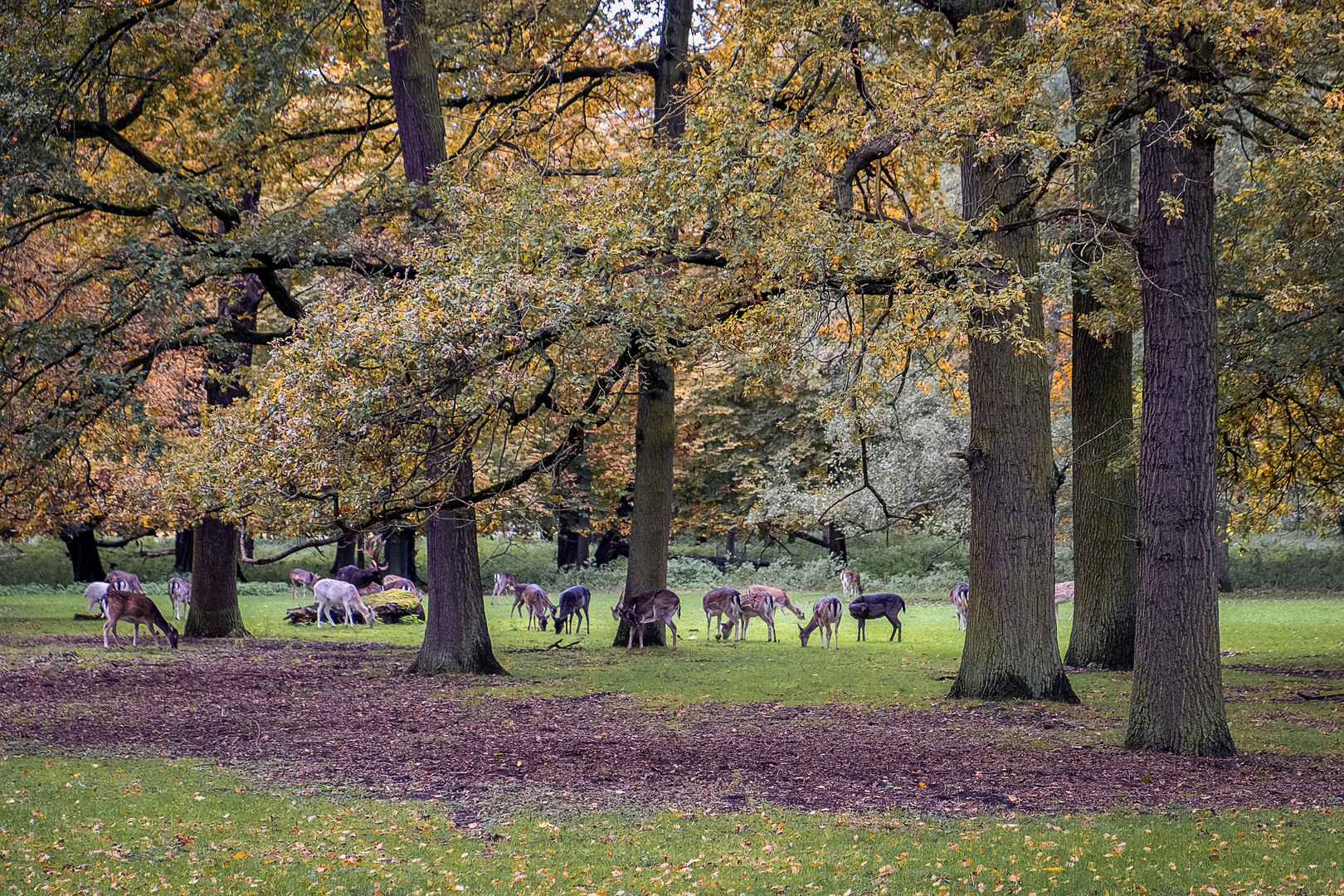 Tiergarten Hannover