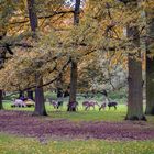 Tiergarten Hannover