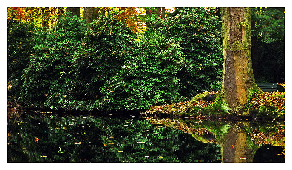 tiergarten im herbst