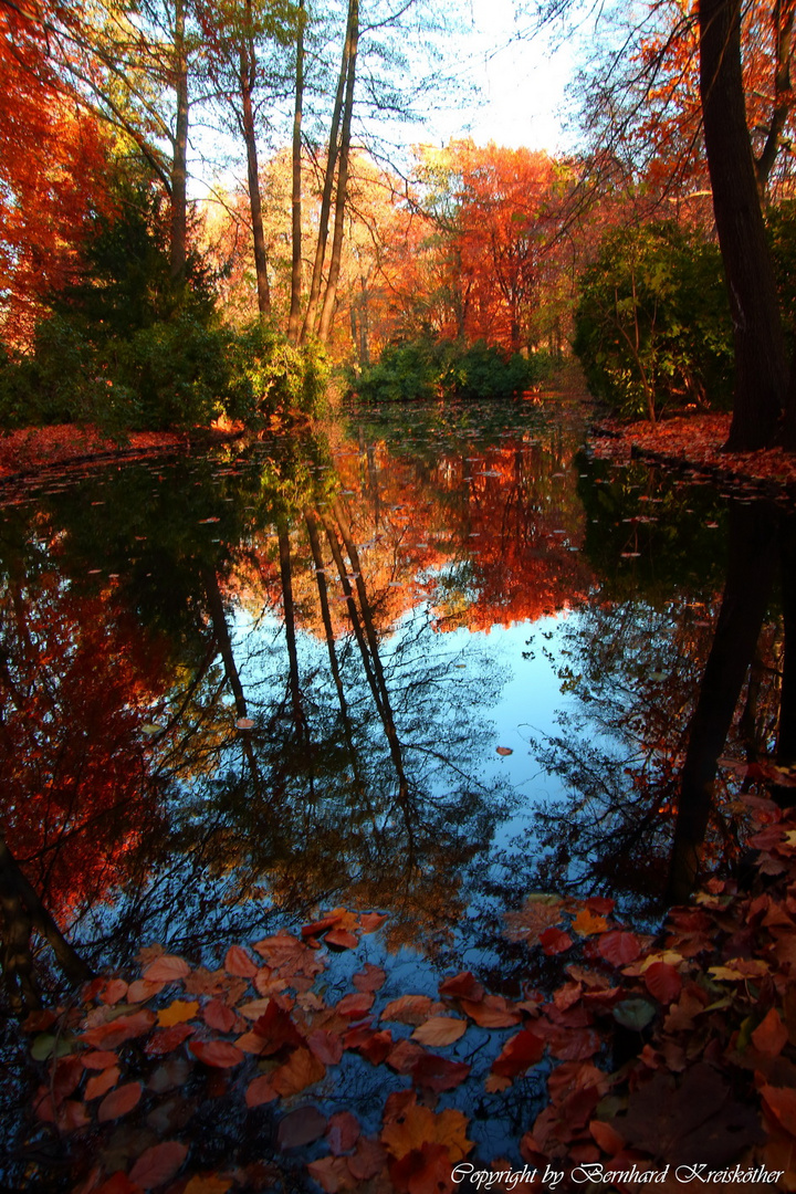 Tiergarten im Herbst 