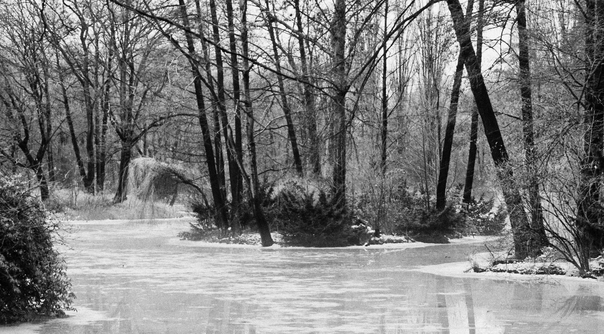 Tiergarten - noch ein Hauch von Eis