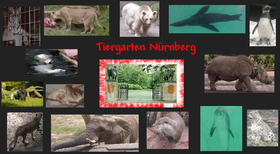 Tiergarten Nürnberg