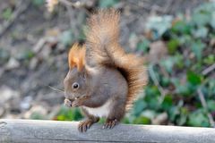 Tiergarten Schönbrunn