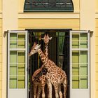 Tiergarten Schönbrunn