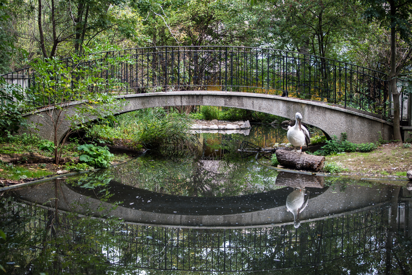 Tiergarten Schönbrunn