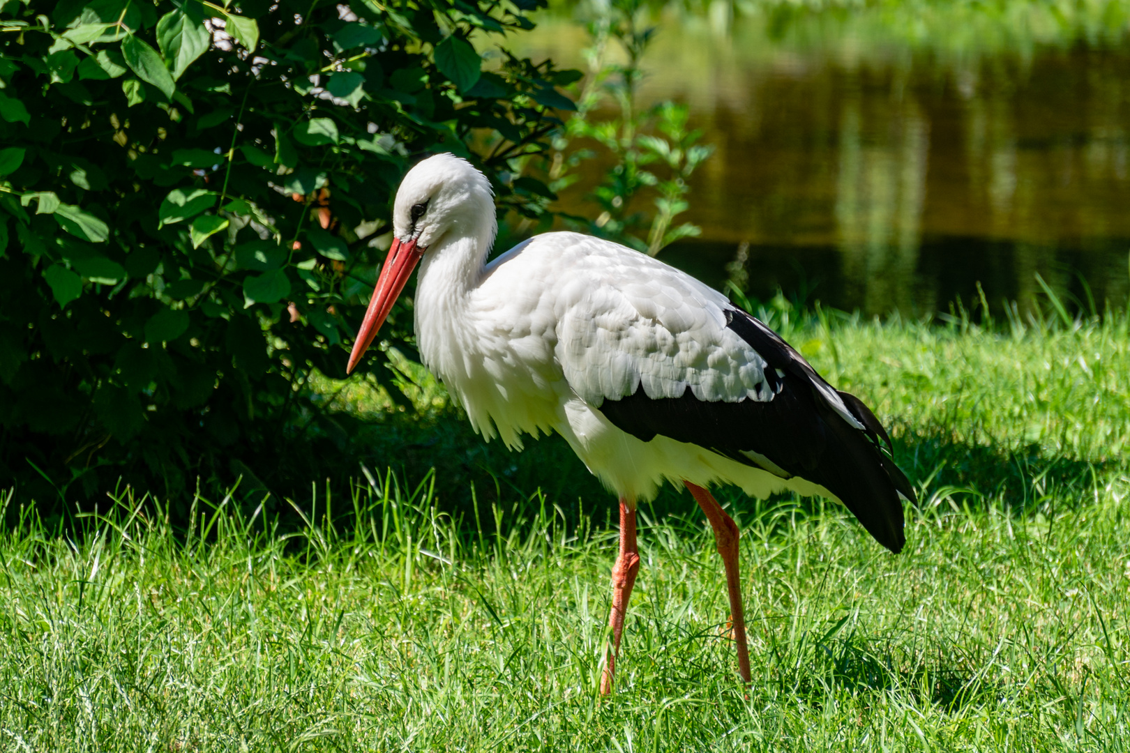 Tiergarten Schönbrunn