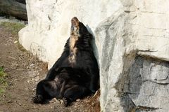 Tiergarten Schönbrunn1