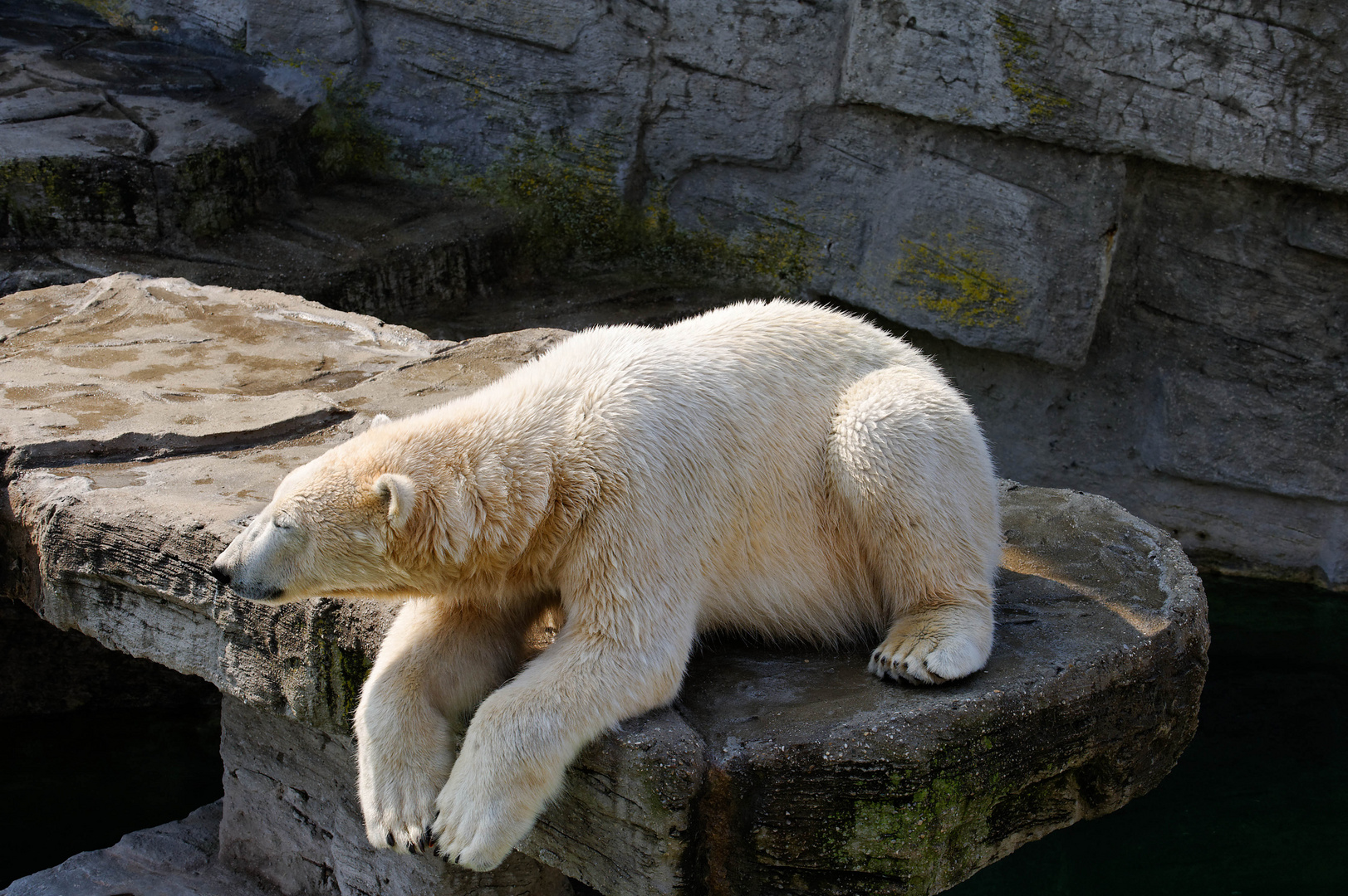 Tiergarten Schönbrunn5