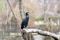 Tiergarten Schönbrunn6