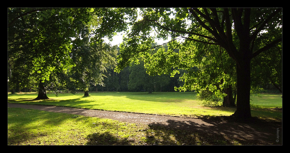 Tiergarten (Sommerregen)