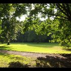 Tiergarten (Sommerregen)