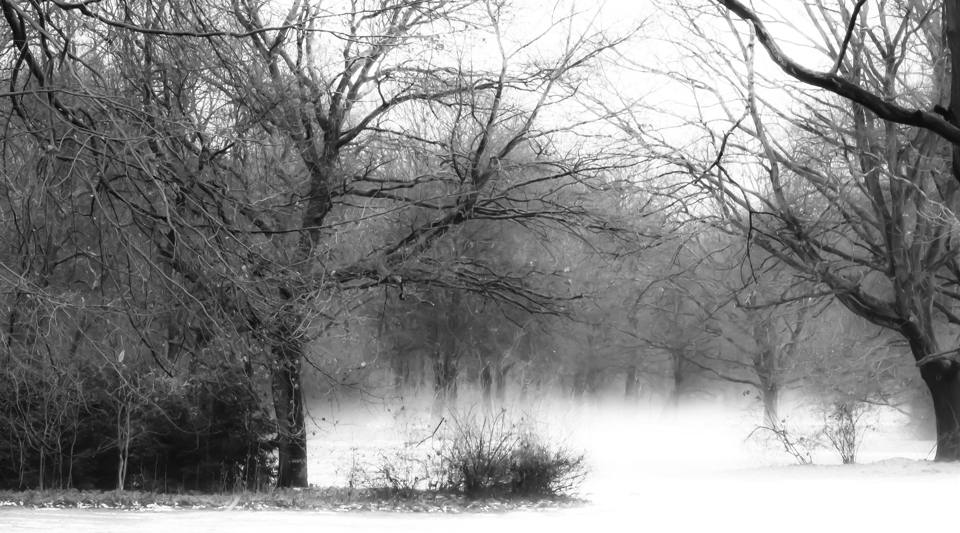 Tiergarten - Wie der Schnee verdunstet