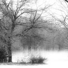 Tiergarten - Wie der Schnee verdunstet