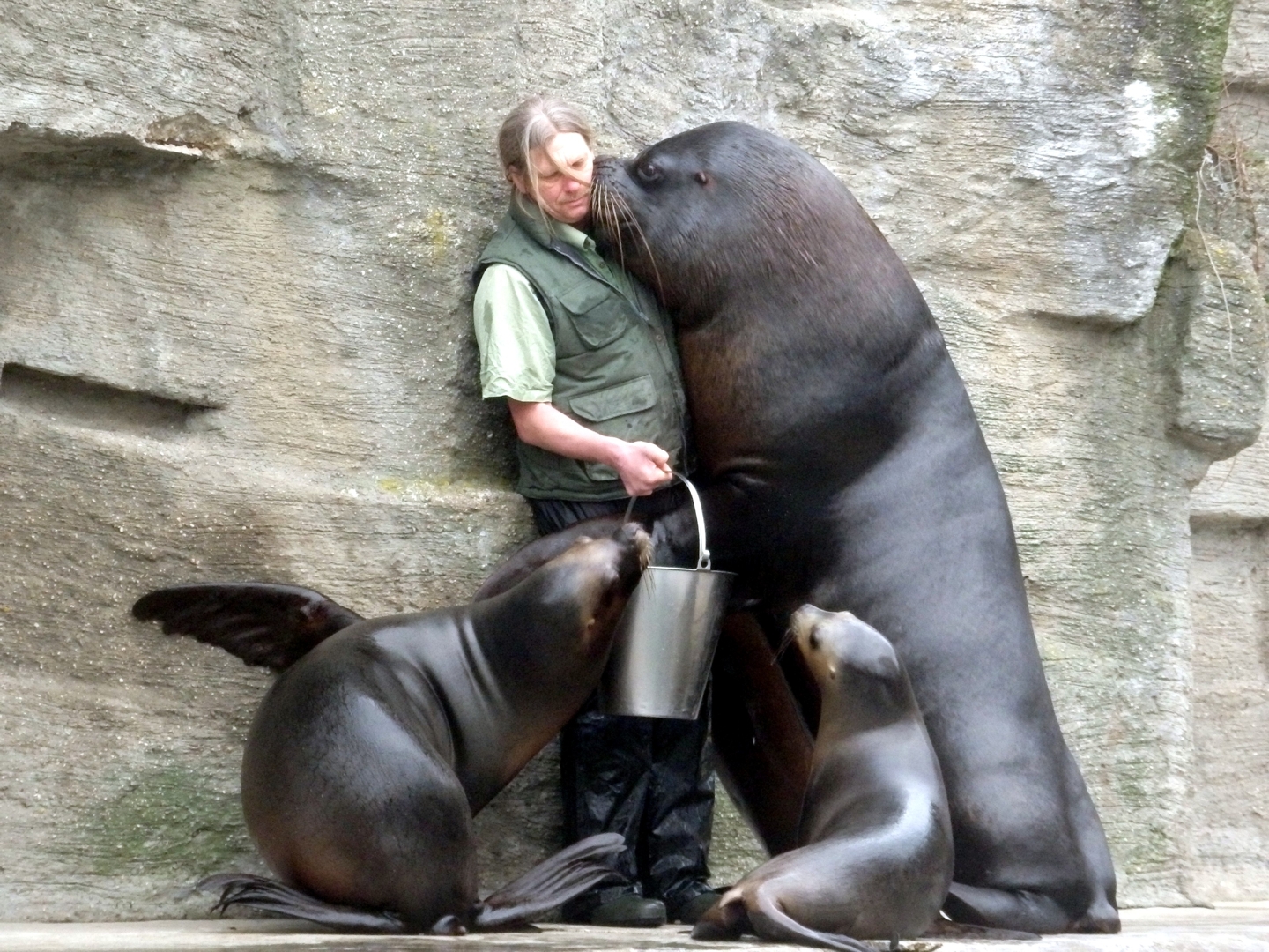 Tiergarten Wien Schönbrunn 2015