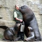 Tiergarten Wien Schönbrunn 2015