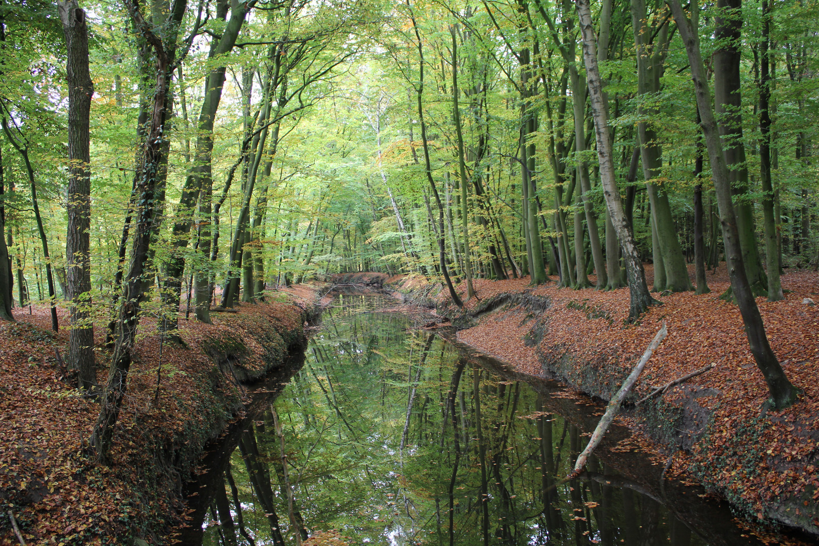 Tiergarten Wolbeck