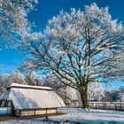 Tiergehege im winterlichen Bremer Bürgerpark