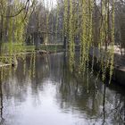 Tiergehege Mundenhof Freiburg