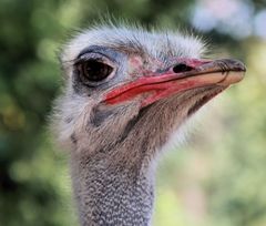 Tiergehege Mundenhof - Freiburg im Breisgau