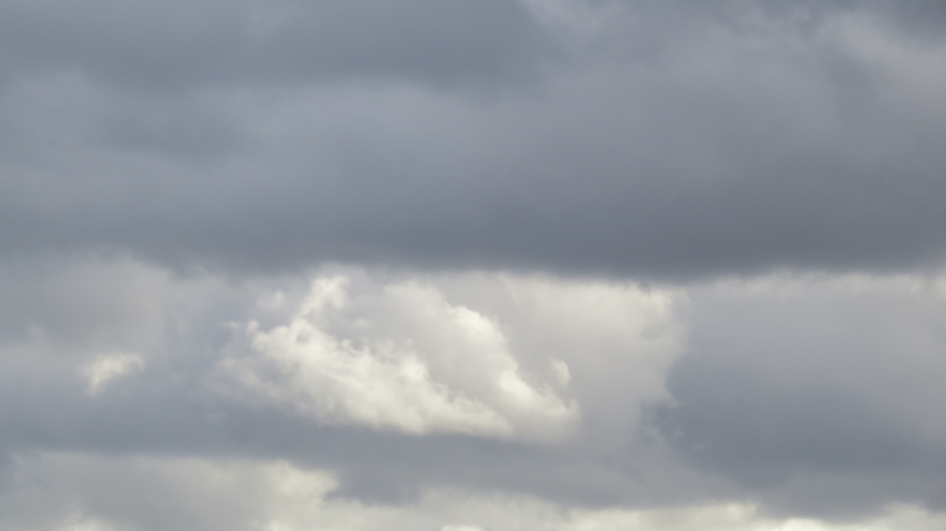 Tiergesichts Wolken Phänomen