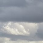 Tiergesichts Wolken Phänomen