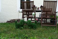 Tierisch bunte Hunde