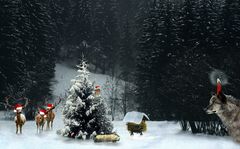 Tierisch ernste Weihnachten