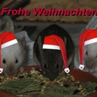 tierisch fröhliche Weihnachten..